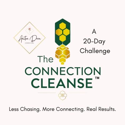 The Connection Cleanse Logo with Lettermark
